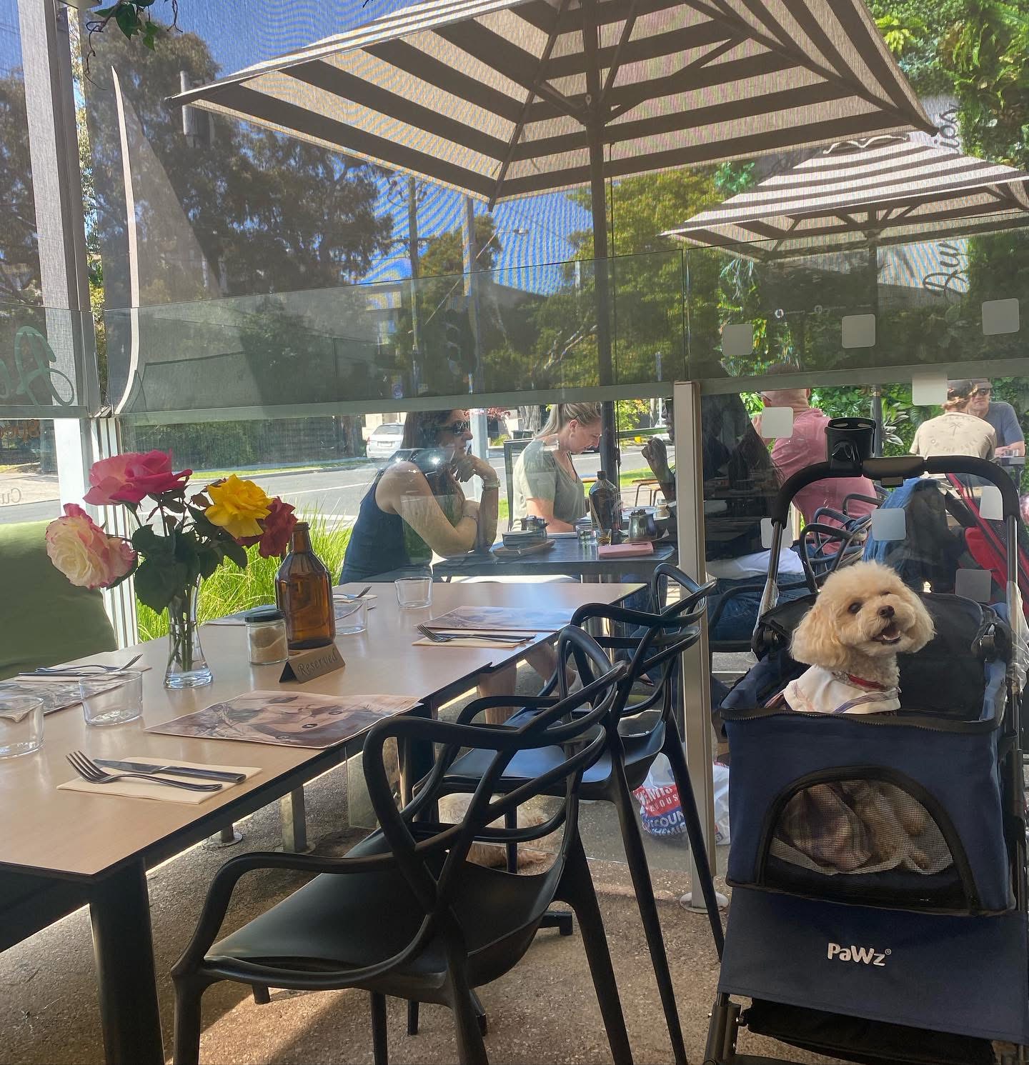 Pet-friendly outdoor seating